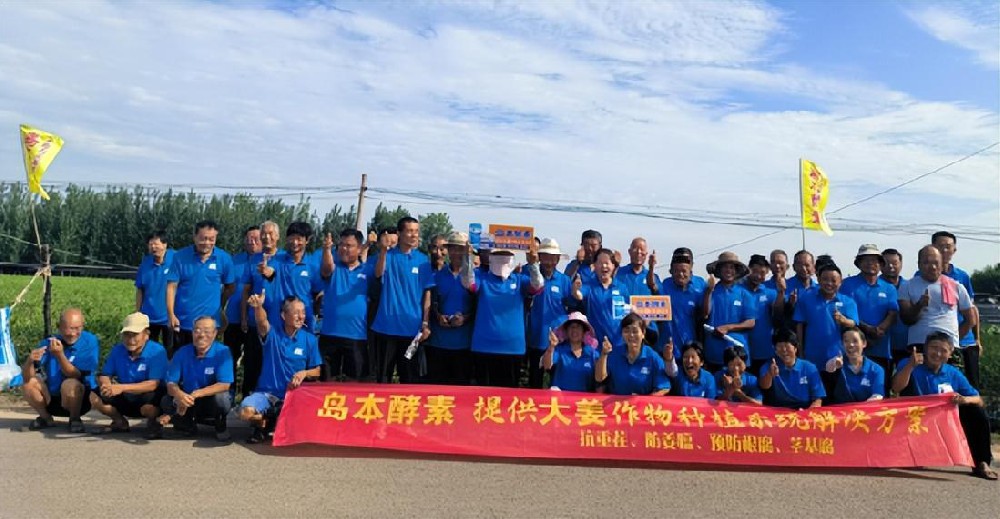 不畏高溫，不懼強降雨，28年資深種姜農(nóng)人，觀摩會上帶你見證島本酵素菌改良土壤抗重茬的神奇效果