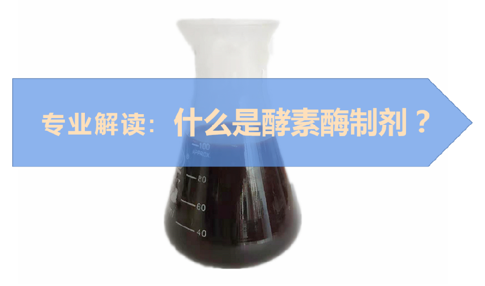 什么是酵素酶制劑？它具體有哪些作用？