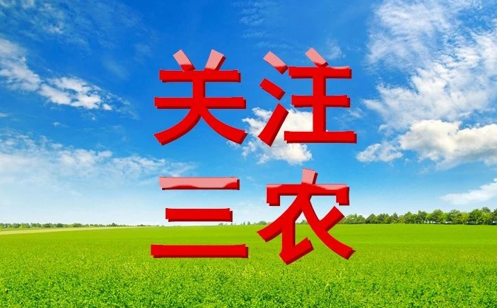 ?【島本酵素】2024年全國二十屆三中全會三農(nóng)政策及要點(diǎn)分享